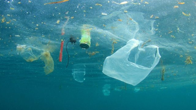 Our Oceans Are Turning into Plastic… Are We?