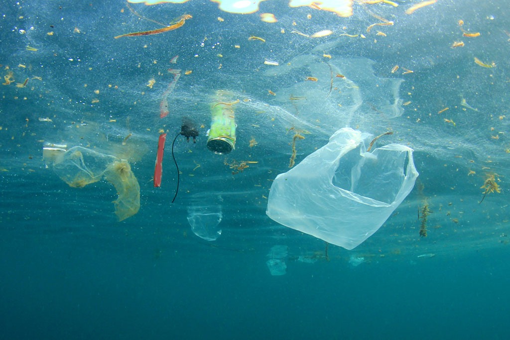 Garbage floating in ocean