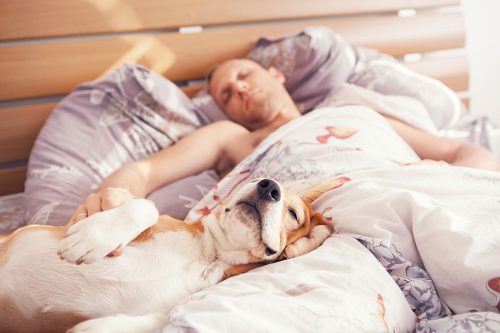 man sleeping in bed with dog