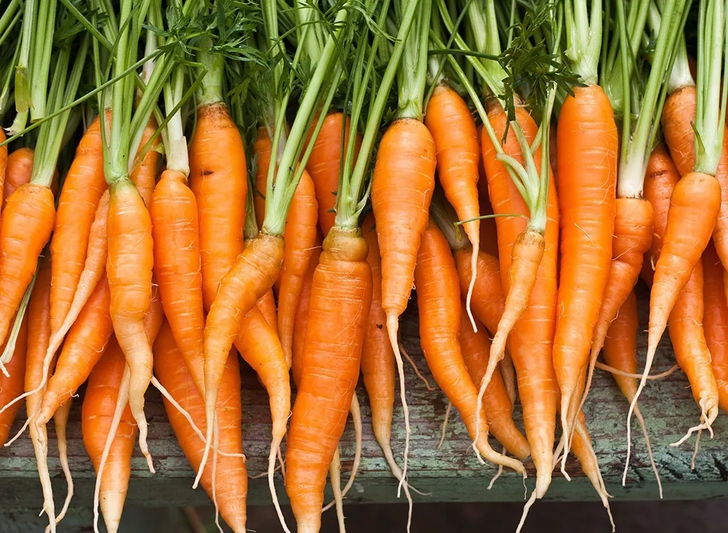 Stalk of carrots